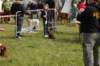 dsc_0059_small.jpg