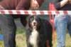 dsc_0061_small.jpg