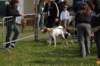 dsc_0062_small.jpg