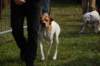 dsc_0063_small.jpg