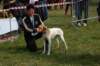 dsc_0064_small.jpg