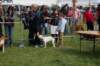 dsc_0065_small.jpg