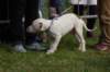 dsc_0066_small.jpg