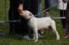 dsc_0067_small.jpg