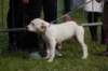 dsc_0068_small.jpg