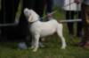 dsc_0069_small.jpg