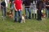 dsc_0071_small.jpg