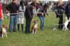 dsc_0072_small.jpg