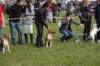 dsc_0073_small.jpg