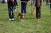dsc_0074_small.jpg