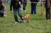 dsc_0075_small.jpg