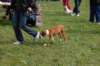 dsc_0076_small.jpg
