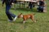 dsc_0077_small.jpg
