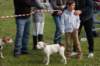 dsc_0080_small.jpg