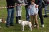 dsc_0081_small.jpg