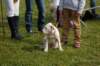 dsc_0085_small.jpg