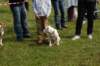 dsc_0087_small.jpg