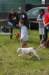dsc_0106_small.jpg
