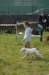 dsc_0107_small.jpg