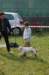 dsc_0109_small.jpg