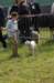 dsc_0125_small.jpg