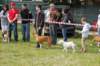 dsc_0128_small.jpg