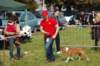 dsc_0132_small.jpg