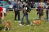 dsc_0133_small.jpg