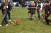 dsc_0134_small.jpg
