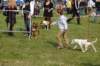 dsc_0137_small.jpg