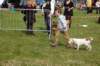 dsc_0138_small.jpg