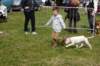 dsc_0140_small.jpg