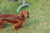 dsc_0145_small.jpg
