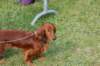 dsc_0146_small.jpg