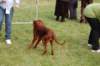 dsc_0147_small.jpg