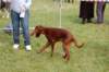 dsc_0148_small.jpg