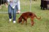 dsc_0149_small.jpg