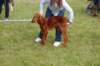 dsc_0152_small.jpg