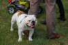 dsc_0156_small.jpg