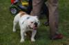 dsc_0157_small.jpg