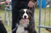 dsc_0158_small.jpg