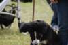 dsc_0159_small.jpg