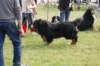 dsc_0160_small.jpg