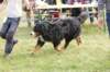 dsc_0163_small.jpg