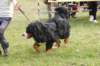 dsc_0164_small.jpg
