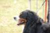 dsc_0165_small.jpg