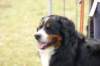 dsc_0166_small.jpg