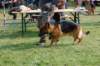 dsc_0167_small.jpg
