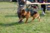 dsc_0168_small.jpg