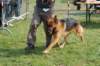 dsc_0169_small.jpg